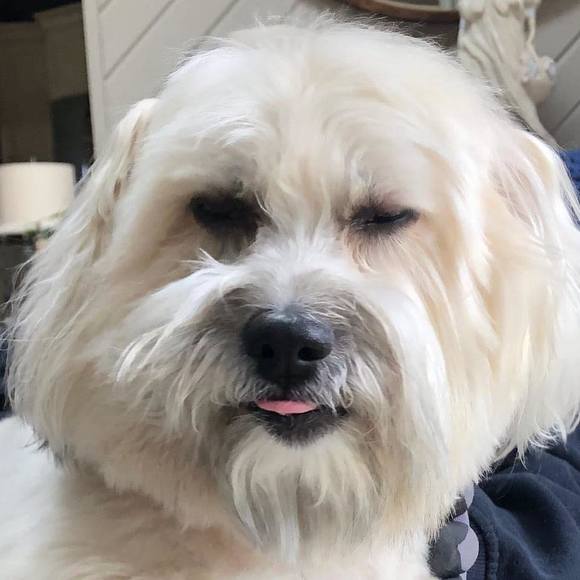 Meet your Posher, Tracey - Picture 1 of 1